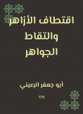 eBook: Sitting Al -Azhar and picking the jewels