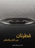 eBook: Two drops: from prose and systems