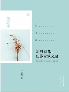 ebook: 刹那有你，世界皆示光芒