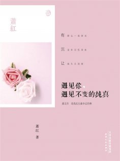 ebook: 遇见你，遇见不变的纯真
