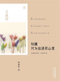 ebook: 相遇，只为住进你心里