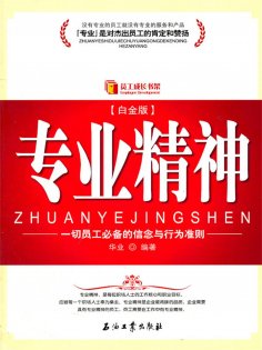 ebook: 专业精神：白金版
