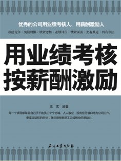 ebook: 用业绩考核 按薪酬激励