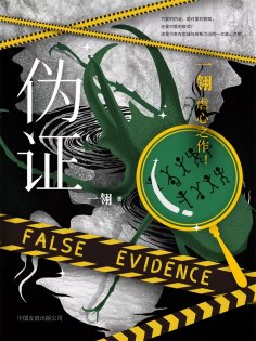 ebook: 伪证