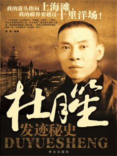 ebook: 杜月笙发迹秘史