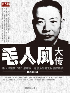 eBook: 毛人凤大传