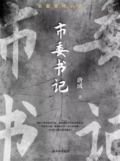 ebook: 市委书记