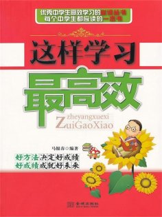 ebook: 这样学习最高效