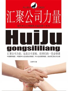 eBook: 汇聚公司力量：提升本土公司团队力量的第一本书