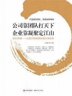 ebook: 公司靠团队打天下 企业靠凝聚定江山：打造狼性团队，筑就蚁群精神