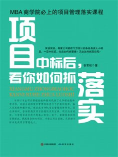 ebook: 项目中标后，看你如何抓落实