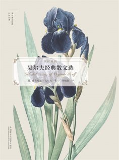 eBook: 吴尔夫经典散文选