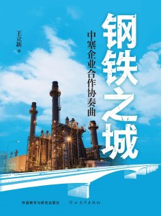 eBook: 钢铁之城：中塞企业合作协奏曲