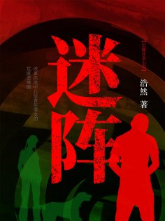eBook: 迷阵