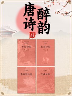 ebook: 中国古代文学经典书系·唐诗醉韵（全四册）