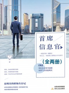 ebook: 首席信息官（全2册）