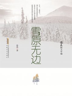 ebook: 徐迅散文年编：雪原无边