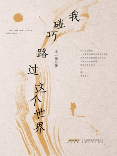 ebook: 我碰巧路过这个世界