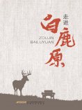 ebook: 走进《白鹿原》