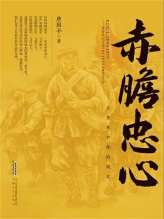 ebook: 赤胆忠心——王金林和他的战友