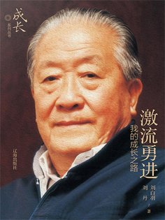 ebook: 激流勇进：我的成长之路