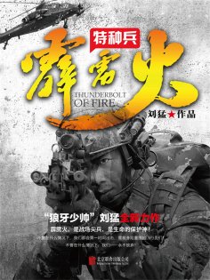 ebook: 霹雳火