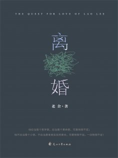 ebook: 离婚