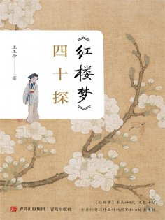 ebook: 《红楼梦》四十探