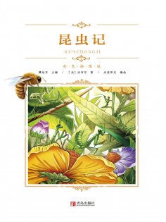 ebook: 昆虫记