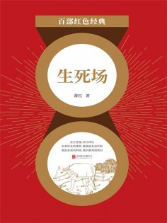 ebook: 生死场（红色经典）