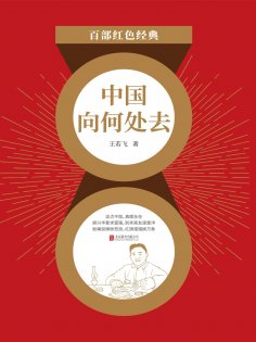 ebook: 中国向何处去