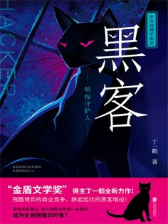 ebook: 黑客：暗夜守护人