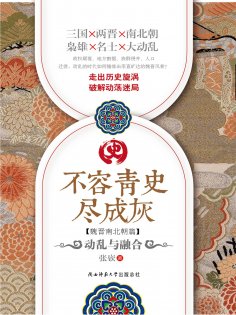 eBook: 不容青史尽成灰：动乱与融合