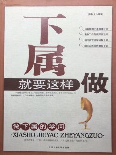 ebook: 下属就要这样做：做下属的学问