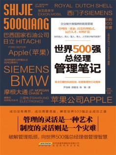 ebook: 世界500强总经理管理笔记