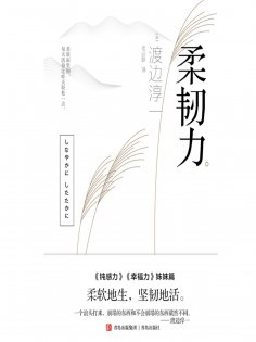 ebook: 柔韧力