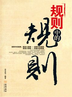 ebook: 规则中的规则