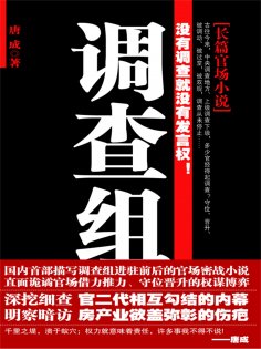 ebook: 调查组