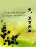 ebook: 爱，没有归期