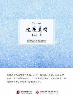 eBook: 遭遇爱情