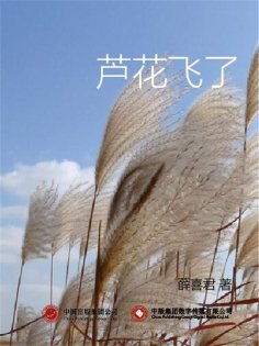ebook: 芦花飞了
