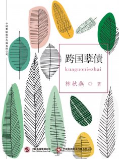 ebook: 跨国孽债