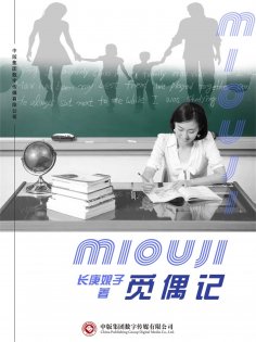 ebook: 觅偶记