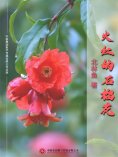 ebook: 火红的石榴花