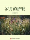 ebook: 岁月的折皱