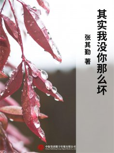 ebook: 其实我没你那么坏