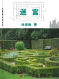 ebook: 迷宫