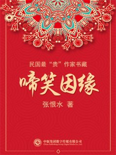 eBook: 民国最"贵"作家书藏：啼笑因缘