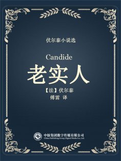 ebook: 伏尔泰小说选：老实人