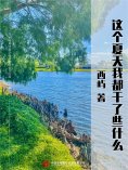 ebook: 这个夏天我都干了些什么